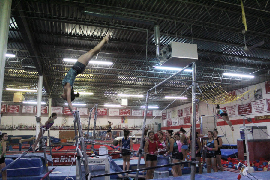 Gymnastics runs in genes for Stoga alumnus