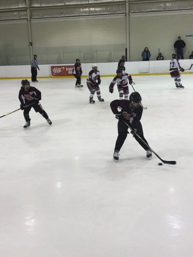 Girls varsity ice hockey loses game against Lower Merion