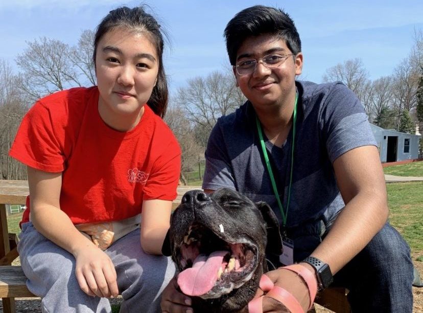 Pet-loving students volunteer at local animal shelter