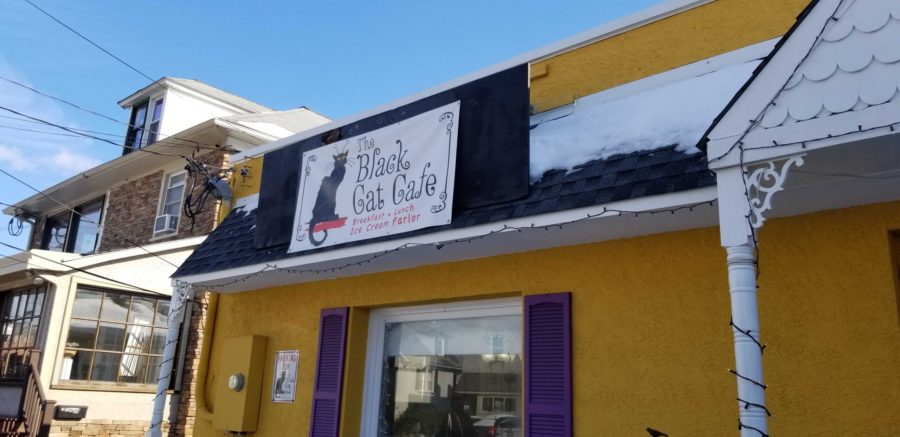 The Black Cat Cafe: A place to have a meal and save a cat