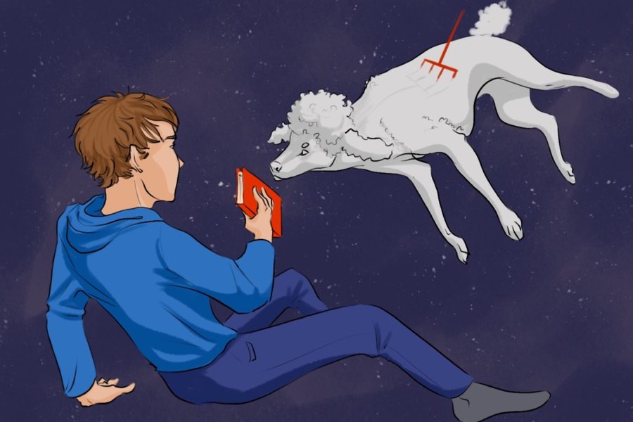 The Curious Incident of the Dog in the Night-Time: A Review