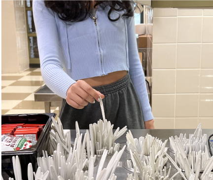 Greening ’Stoga members push for eco-friendly cutlery