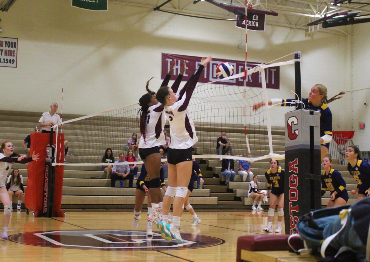 Volleyball edges out Notre Dame 3-2