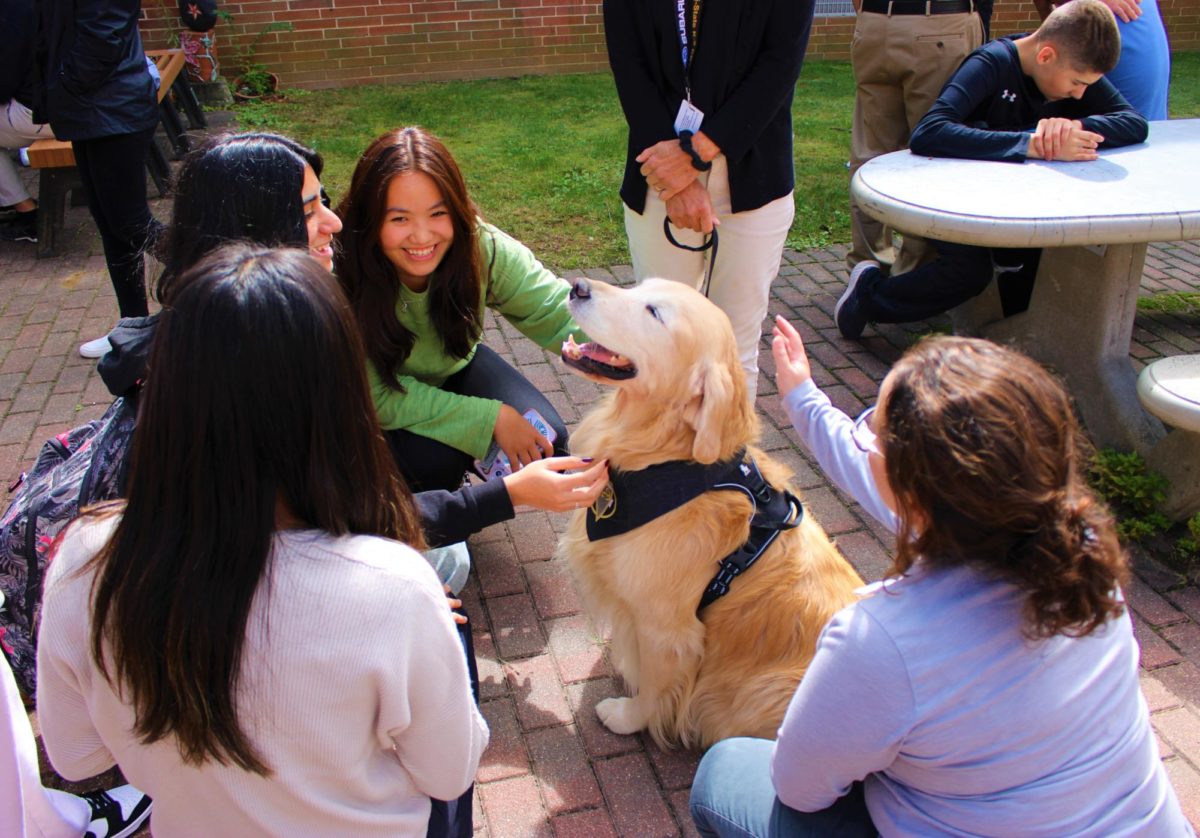 Courtyard hosts therapy dogs for Wellness Wednesday