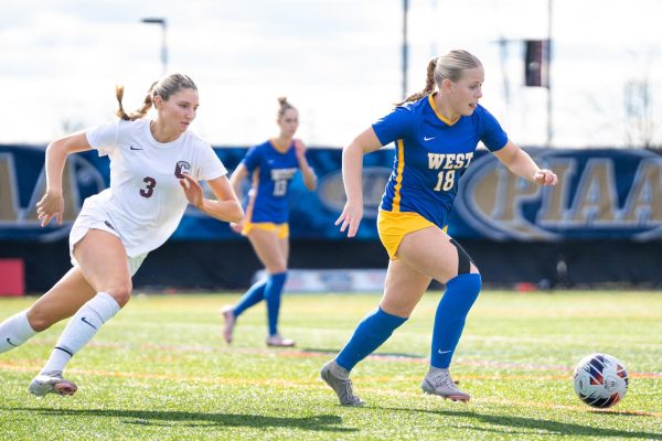 Girls soccer loses to Downingtown West in PIAA 4A State Championship