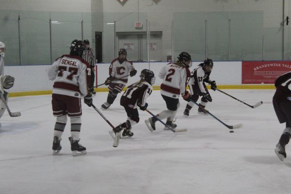 Girls ice hockey defeats Radnor 7-2