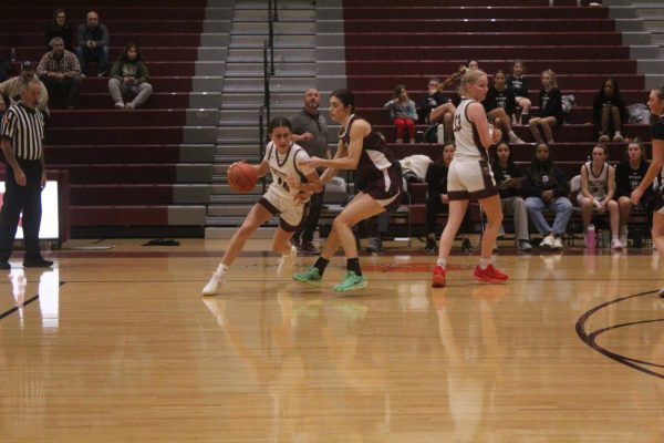 Girls basketball loses to Garnet Valley 29-24