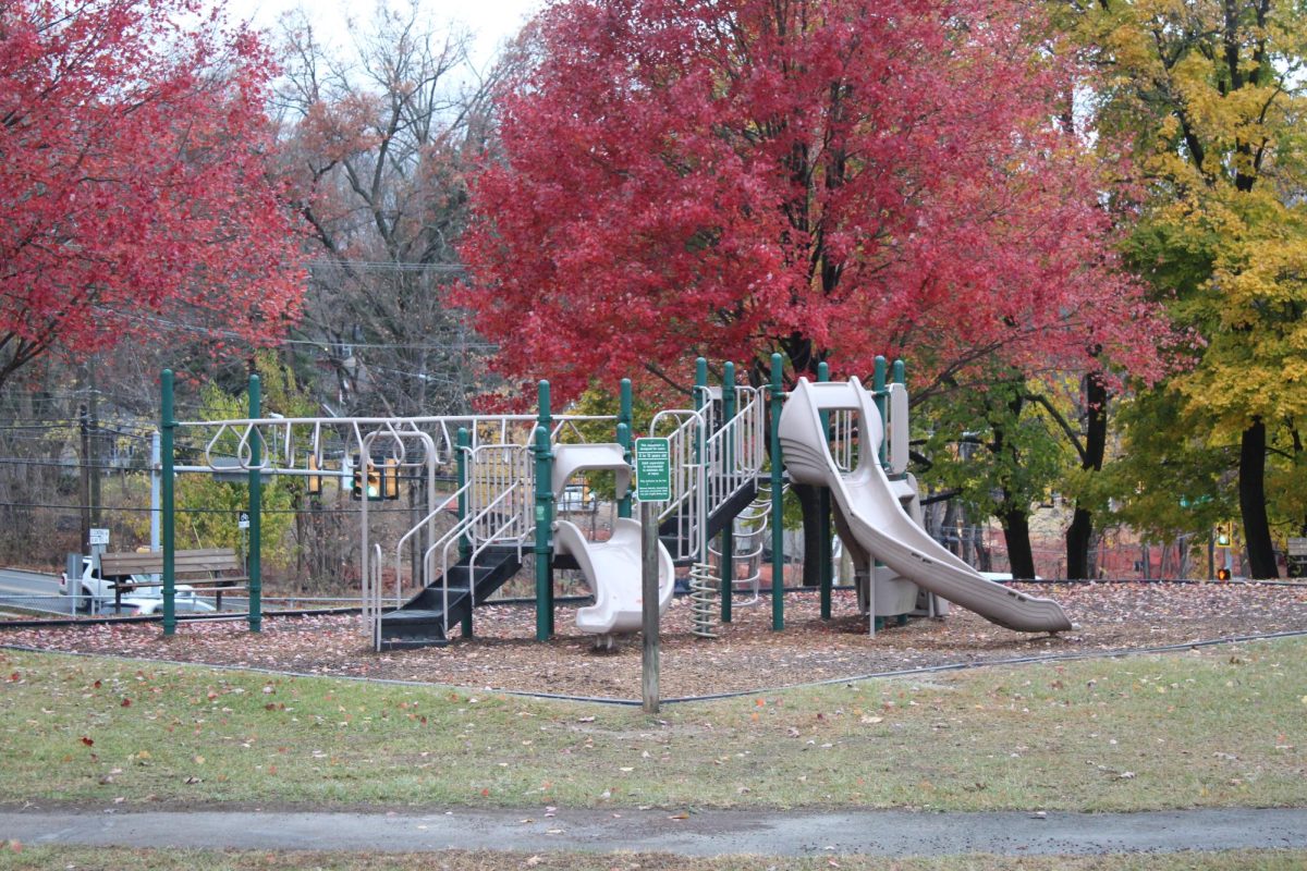 Improving access: Friendship Park currently has accessibility issues, such as uneven pathways and outdated facilities. To address the problems, the Tredyffrin Township Parks and Recreation board passed a draft of a master plan on Oct. 7.