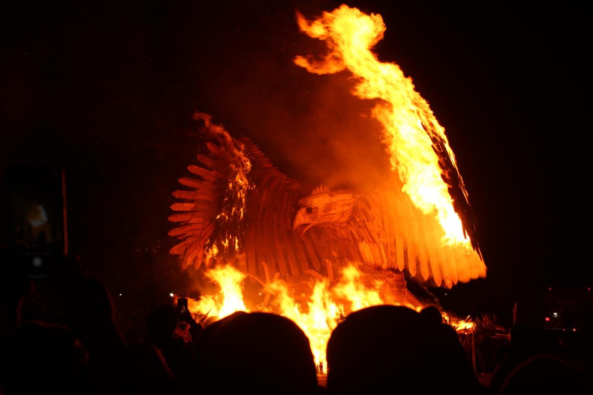 Burning bright: The Phoenixville Firebird Festival’s wooden phoenix burns in front of the festival’s attendees. The 21st annual festival took place at Veterans Memorial Park on Feb. 1.
