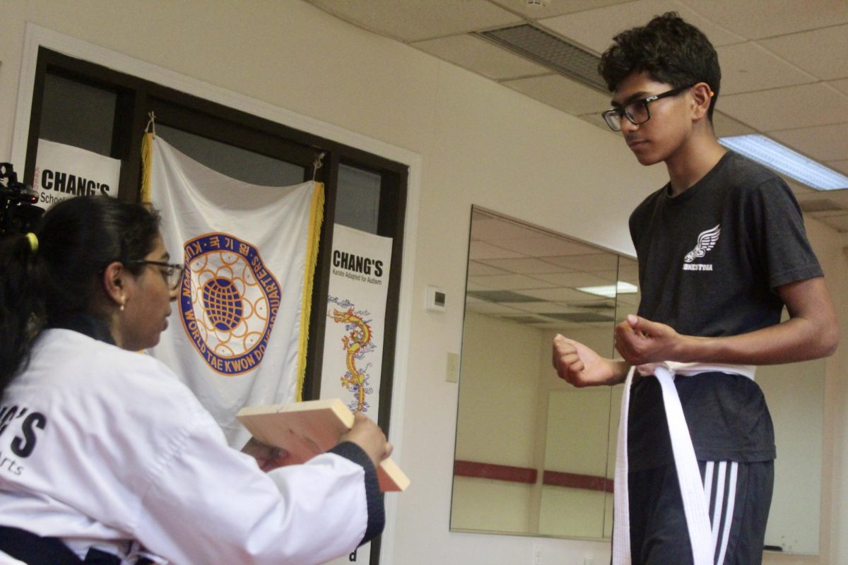 Breaking boards: Junior Rowan Chetty positions himself in front of junior Vaishnavi Sriadibhatla, ready to break a wooden board with a punch. Sriadibhatla taught Chetty the basics of taekwondo, a form of martial arts with Korean origins. 