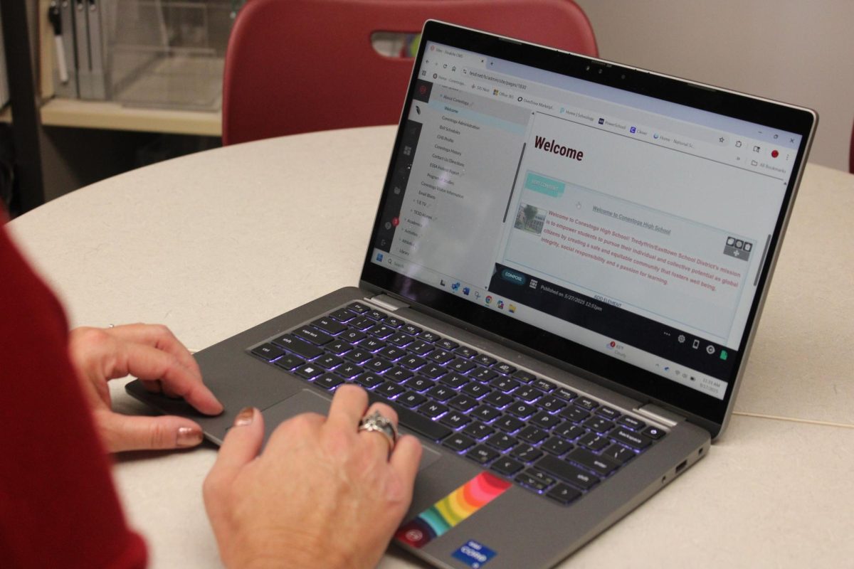 Website management: School website manager and librarian Brooke Hauer edits content on the website. Hauer learned to edit and update the website alongside other department chairs, administration members and librarians.