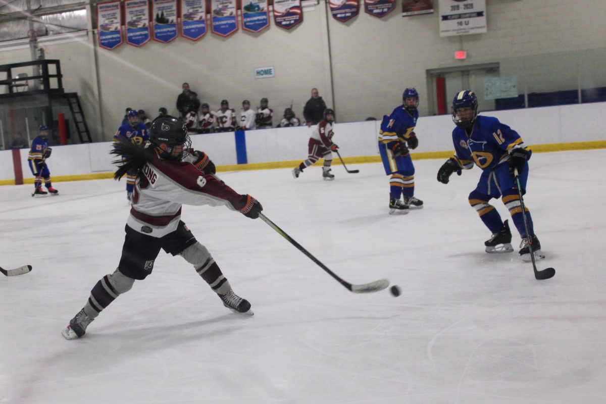 Girls ice hockey takes loss to Downingtown West 9-4