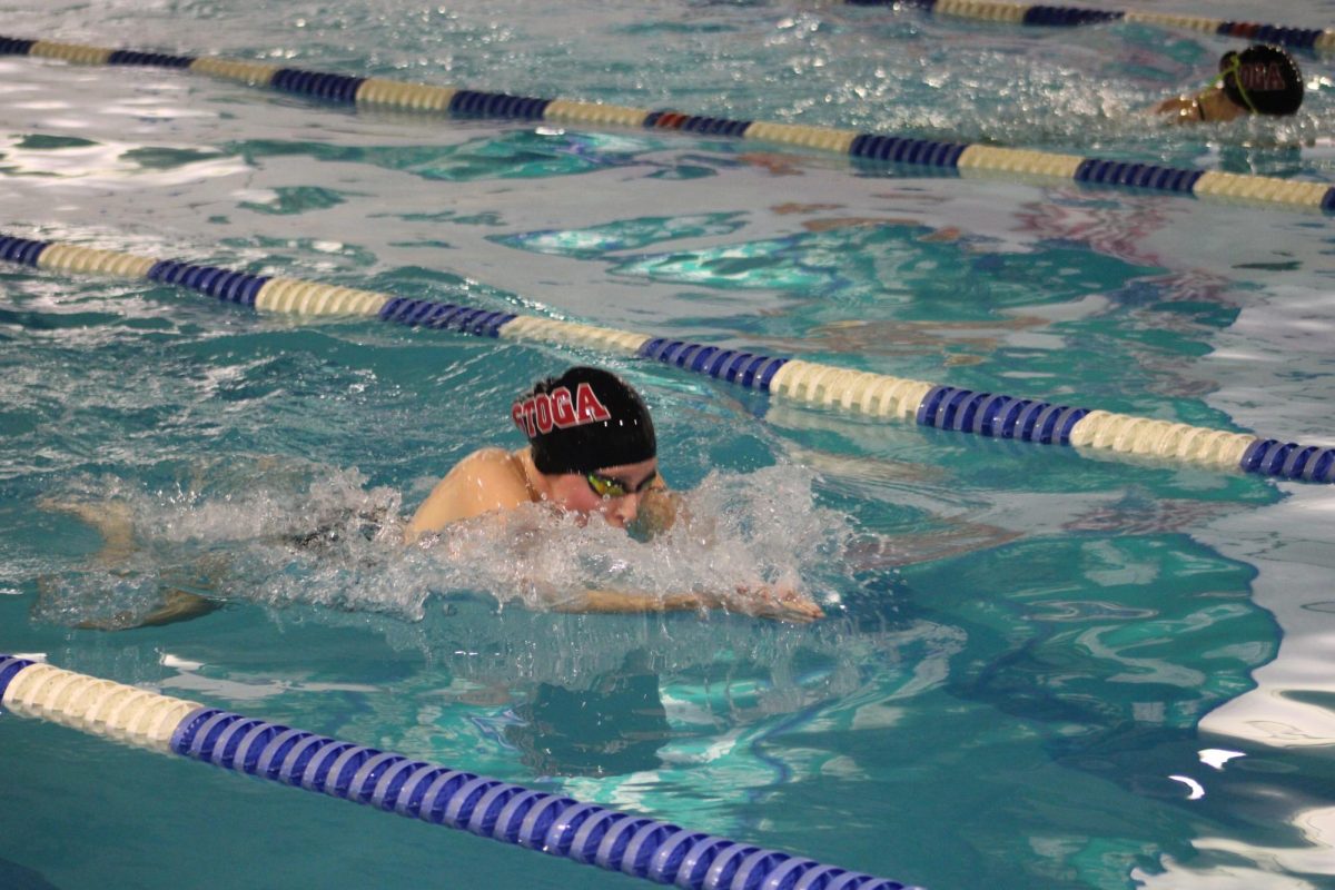 Swim, dive dominate Springfield